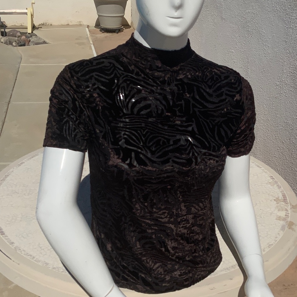 Elegant Brown Velvet Women's Top